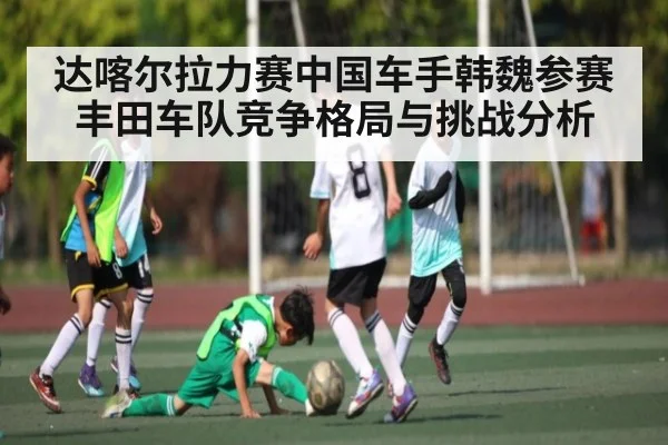 达喀尔拉力赛中国车手韩魏参赛丰田车队竞争格局与挑战分析
